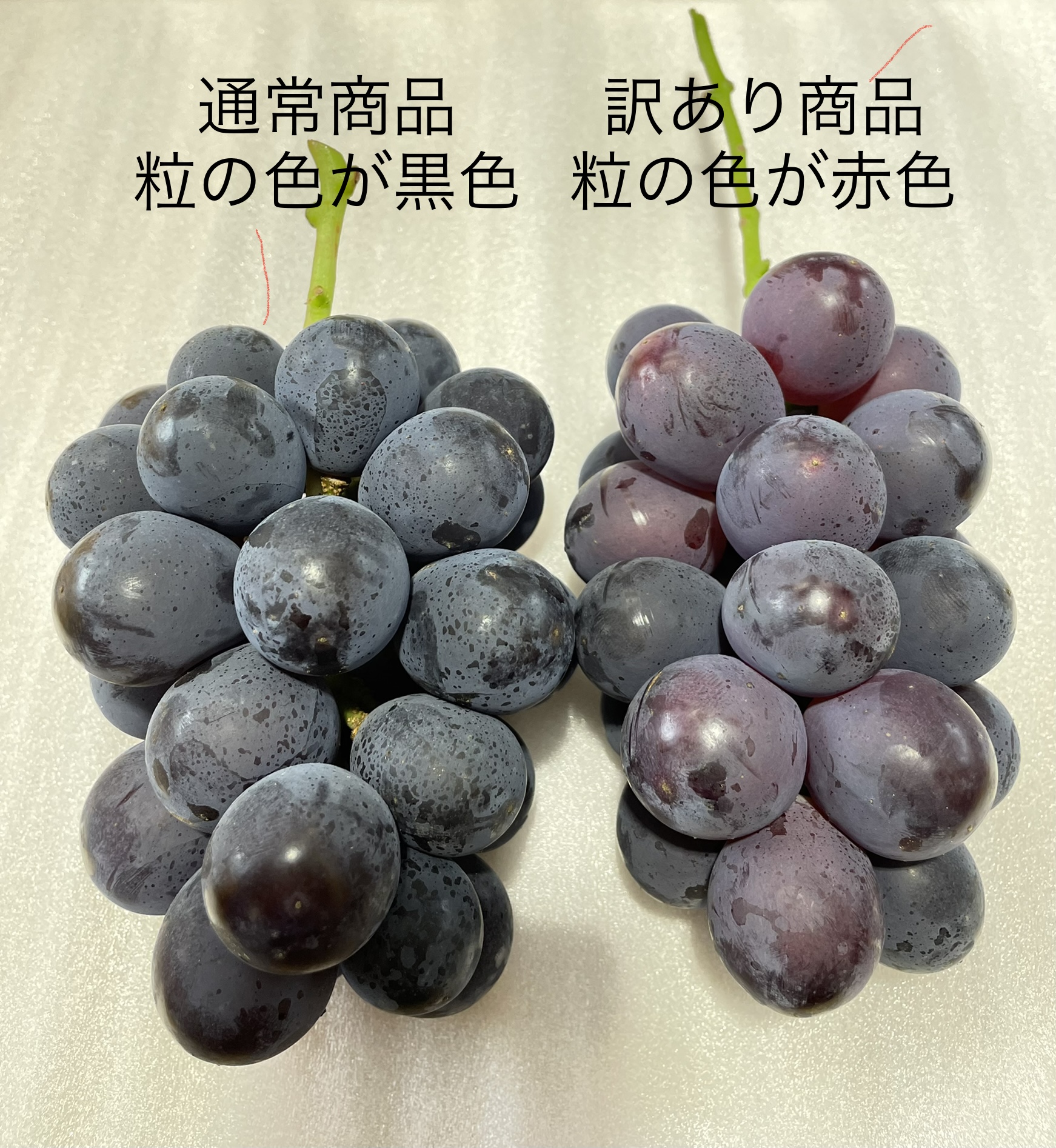 藤峰式　22冊 + 小冊子3冊 ce537e55b7bb4fbf6db4cad3a0ec95