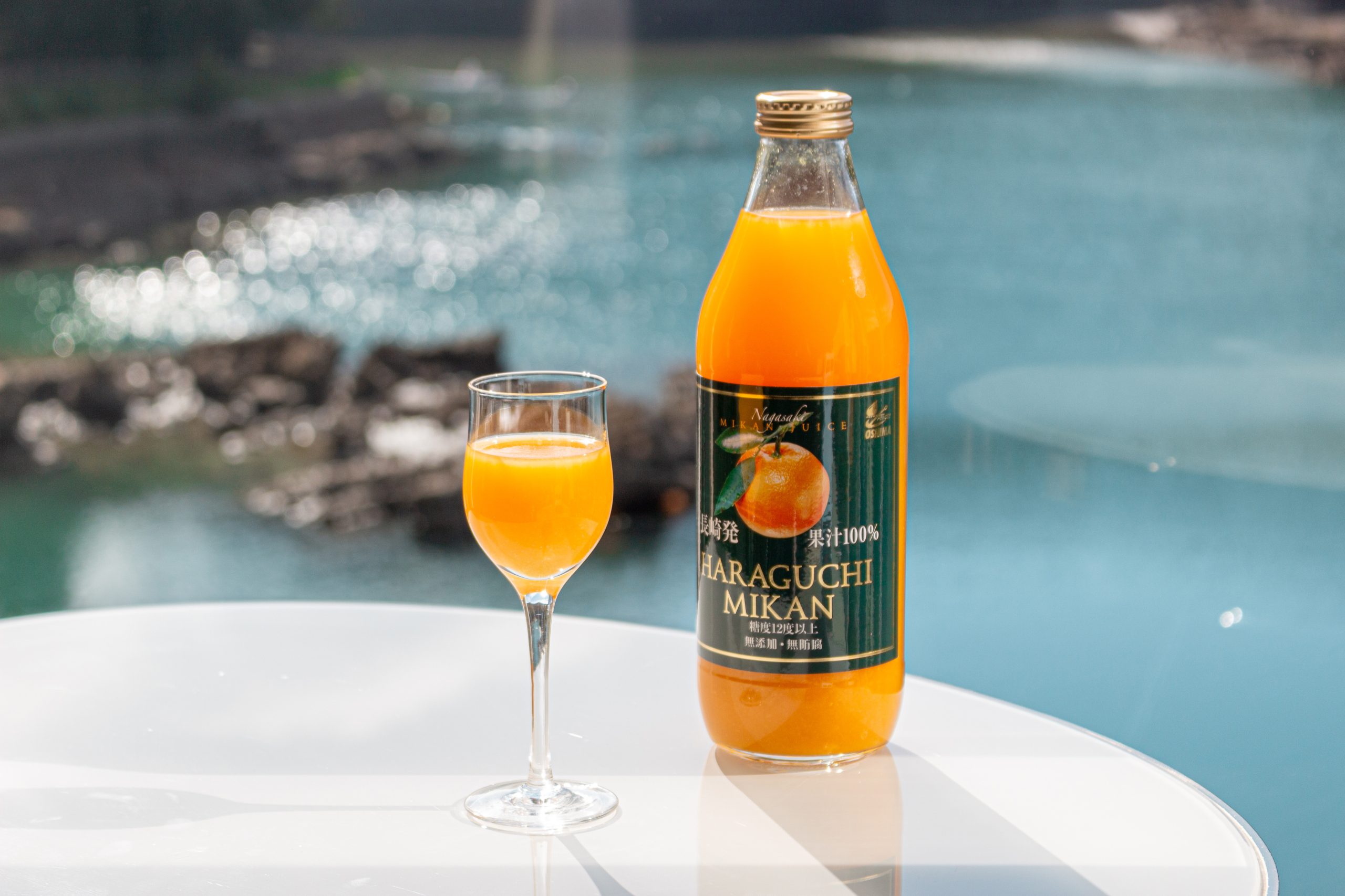 【Michi】みかんジュース1000ｍｌ×12本×２個口発送 原口みかんジュース 1,000ml箱入り | 半島産品＆未利用食材